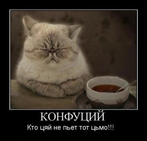 http://cs4232.vkontakte.ru/u30561804/81725909/x_c97e5fed.jpg